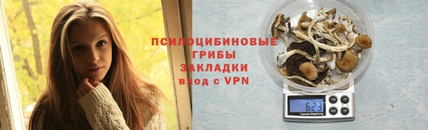 ГАЛЛЮЦИНОГЕННЫЕ ГРИБЫ Каменск-Шахтинский