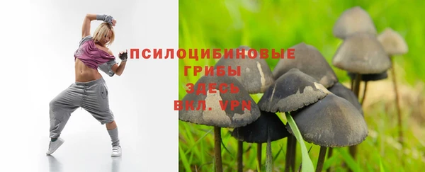 мескалин Каменка