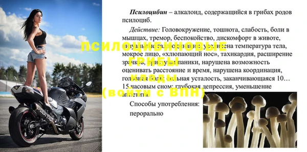 ГАЛЛЮЦИНОГЕННЫЕ ГРИБЫ Каменск-Шахтинский